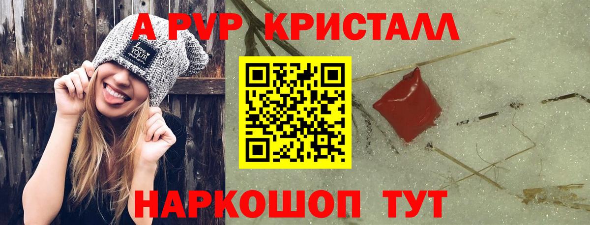 A PVP Ставрополь