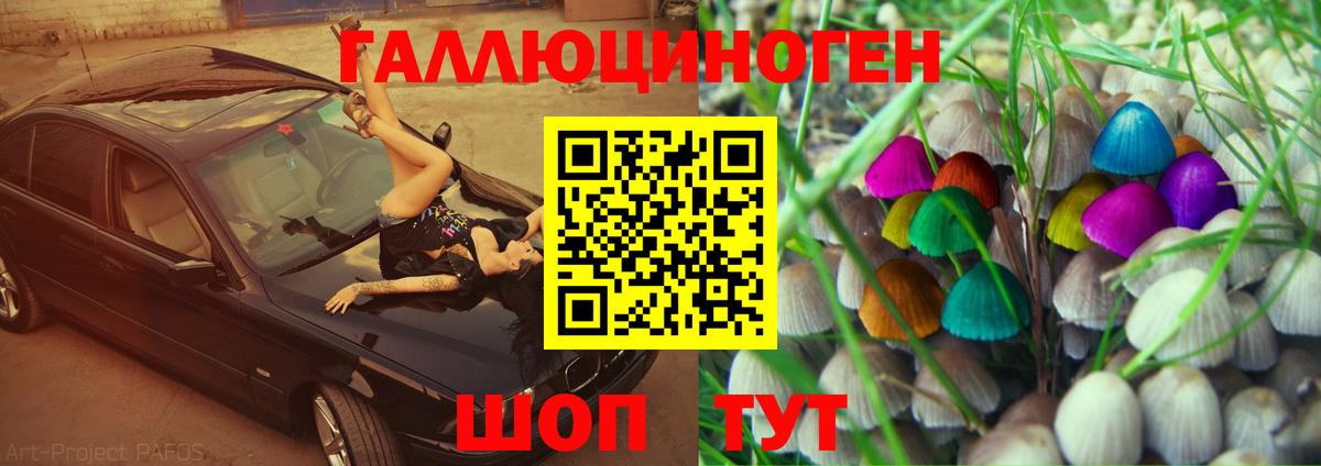 Галлюциногенные грибы мицелий Ставрополь
