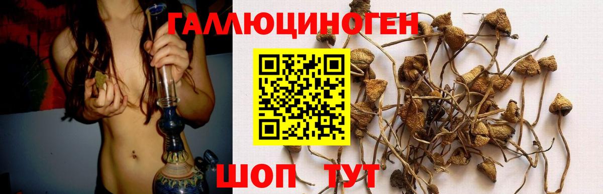 Ставрополь  Псилоцибиновые грибы ЛСД  Галлюциногенные грибы мицелий  Вход с VPN 